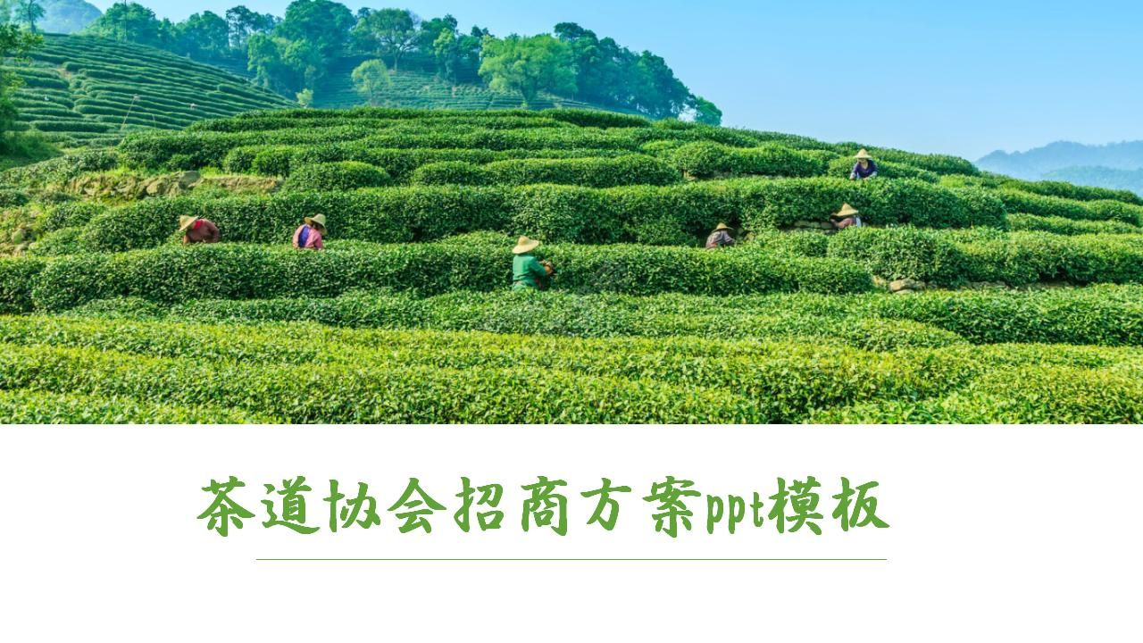 茶道协会招商方案ppt模板