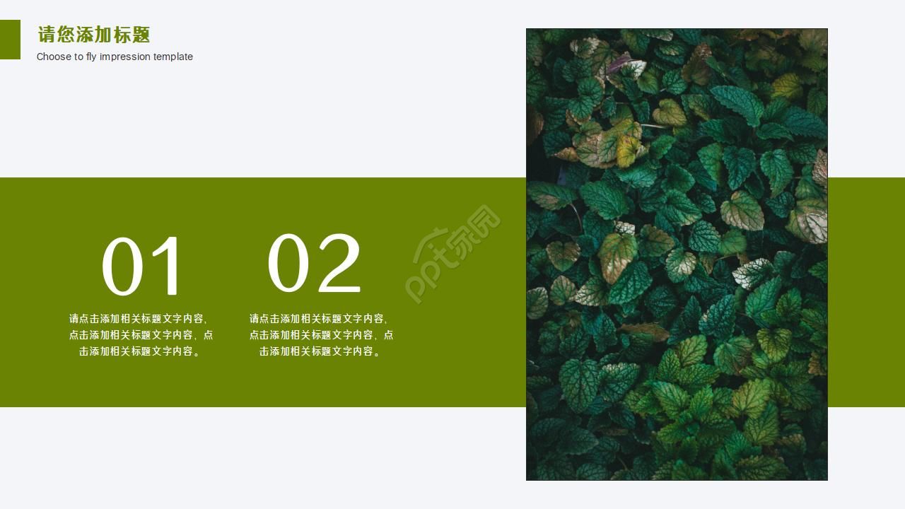 简约小清新树叶工作汇报通用ppt模板