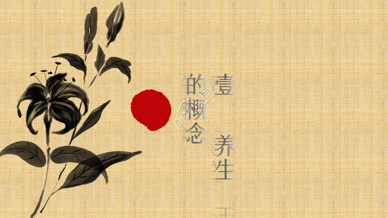 中医心理学养生ppt模板