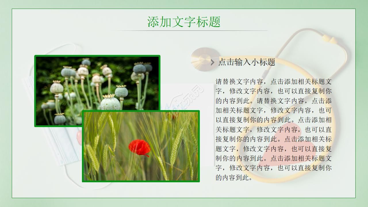 学校禁毒ppt模版