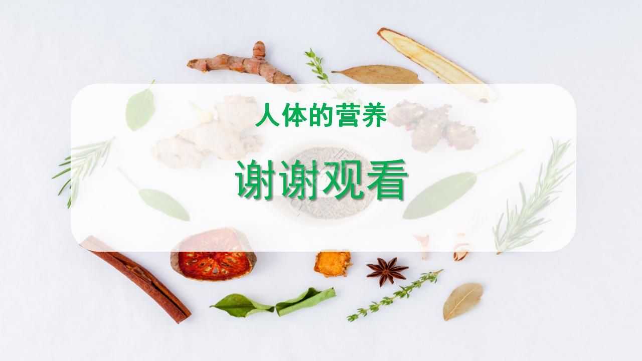 关于营养学ppt模板