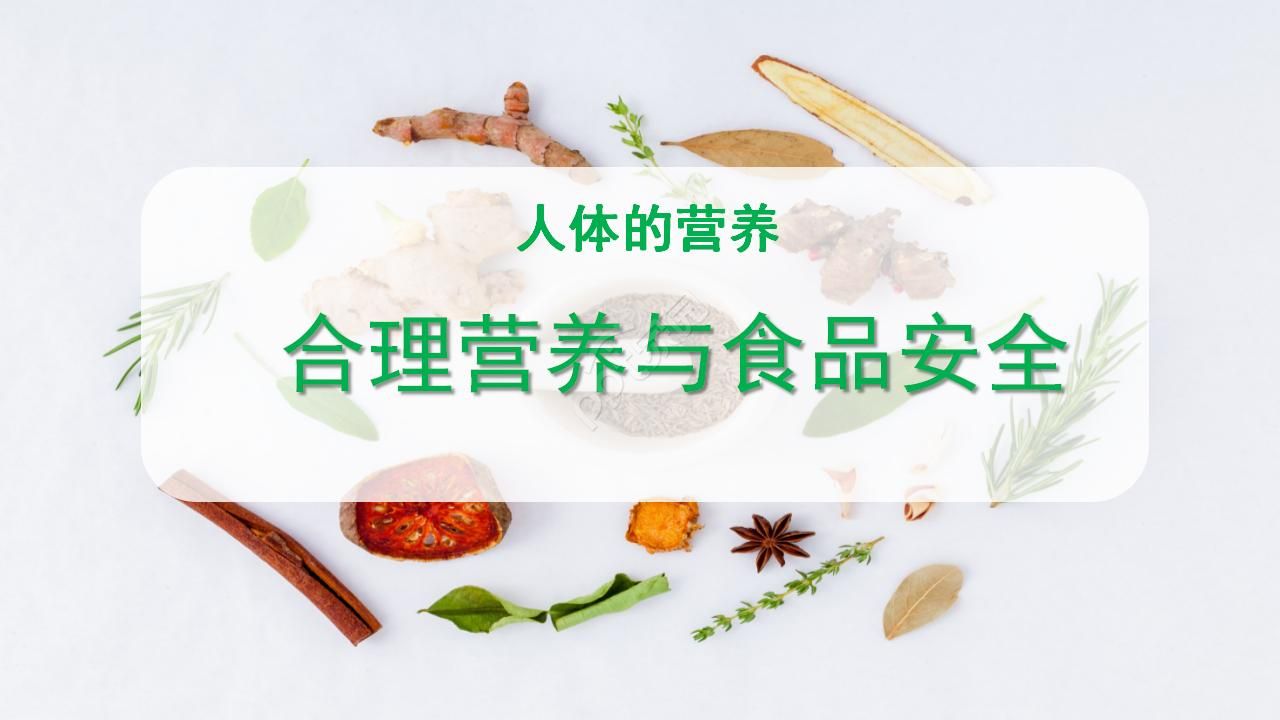 关于营养学ppt模板