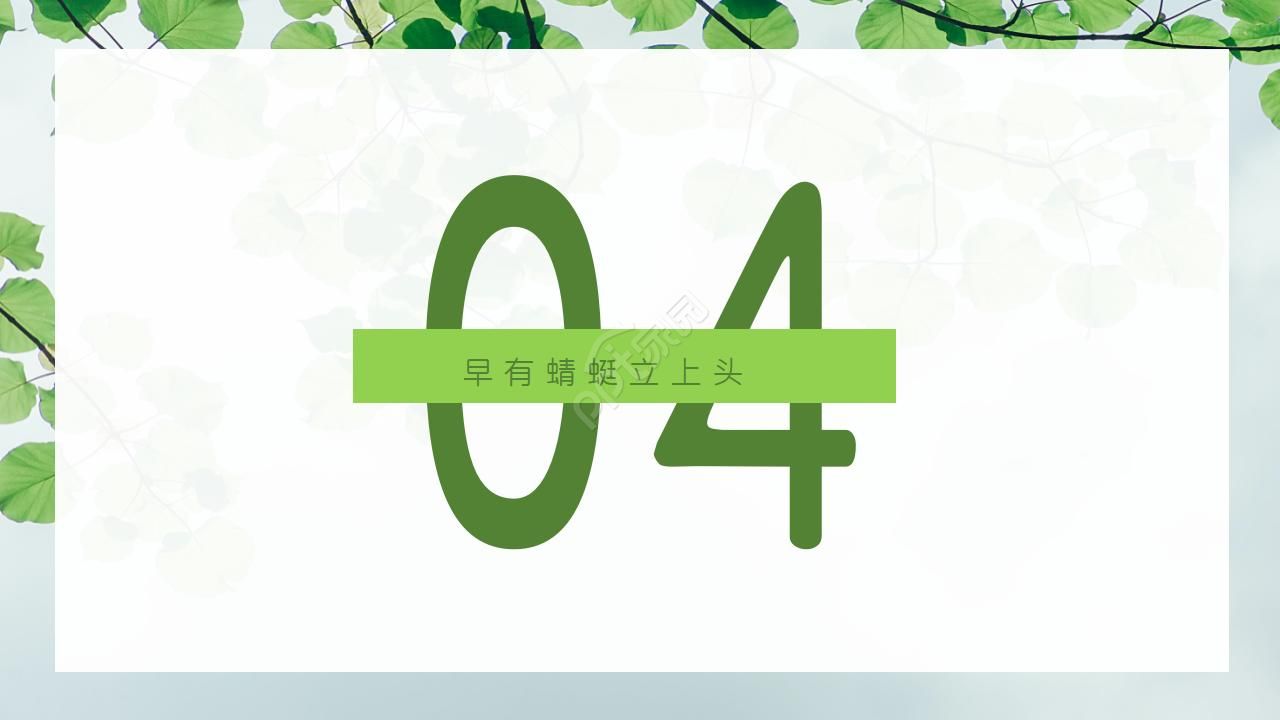 简约清新莲花通用ppt模板