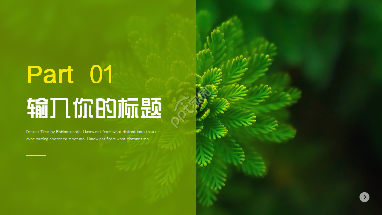 绿色背景PPT模板