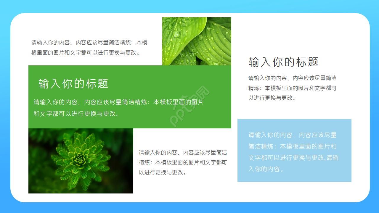 绿色树叶背景经典PPT模板