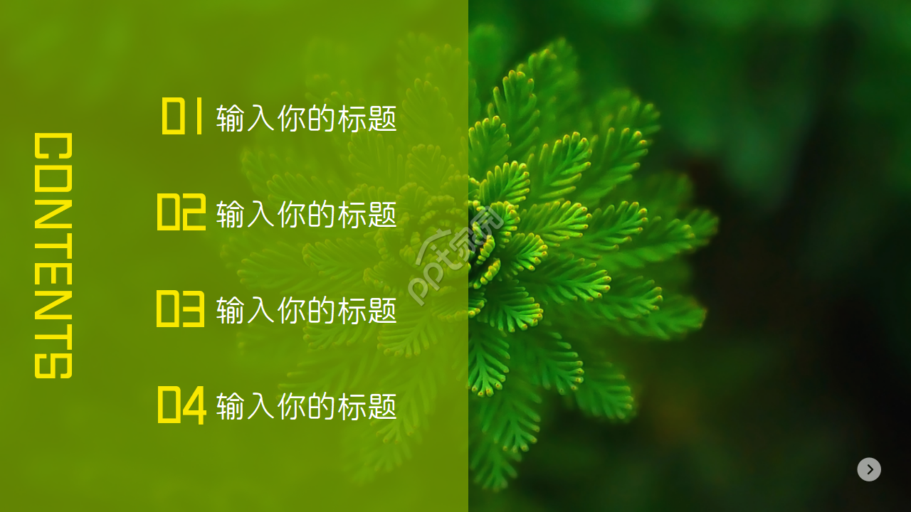 绿色背景PPT模板