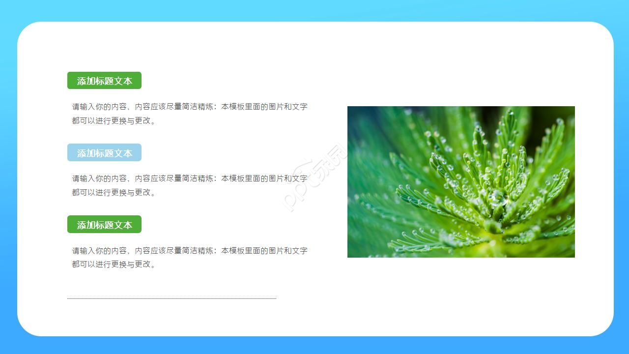 绿色树叶背景经典PPT模板