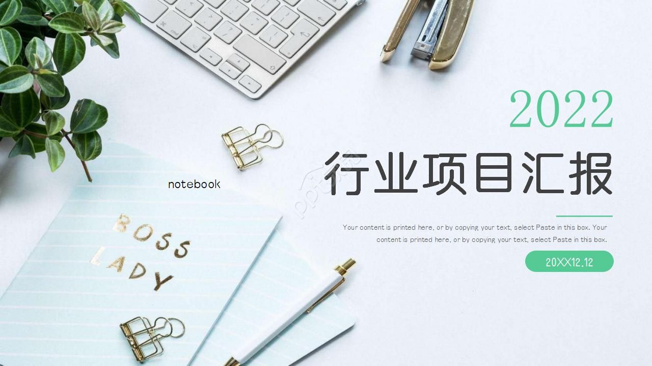 行业项目精美风格PPT模板