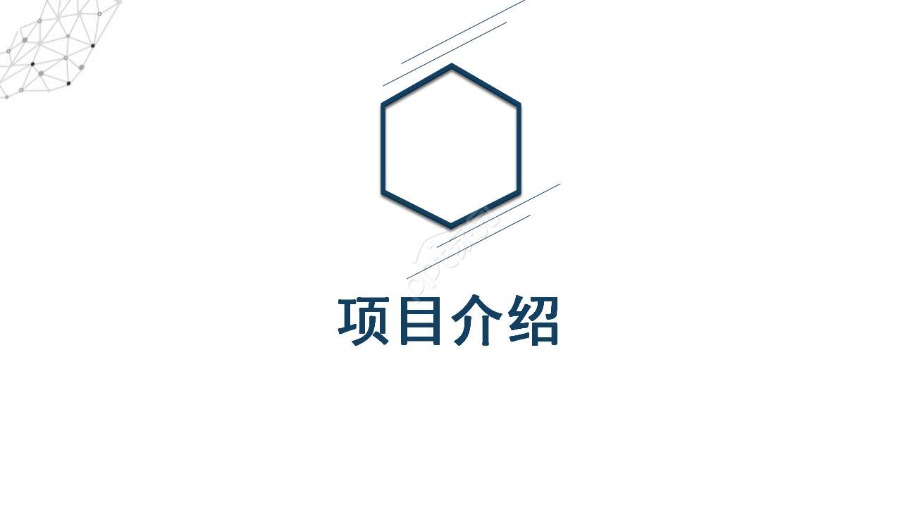 项目经营策划方案ppt模板