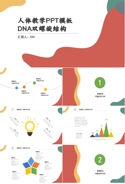 人体教学PPT模板
