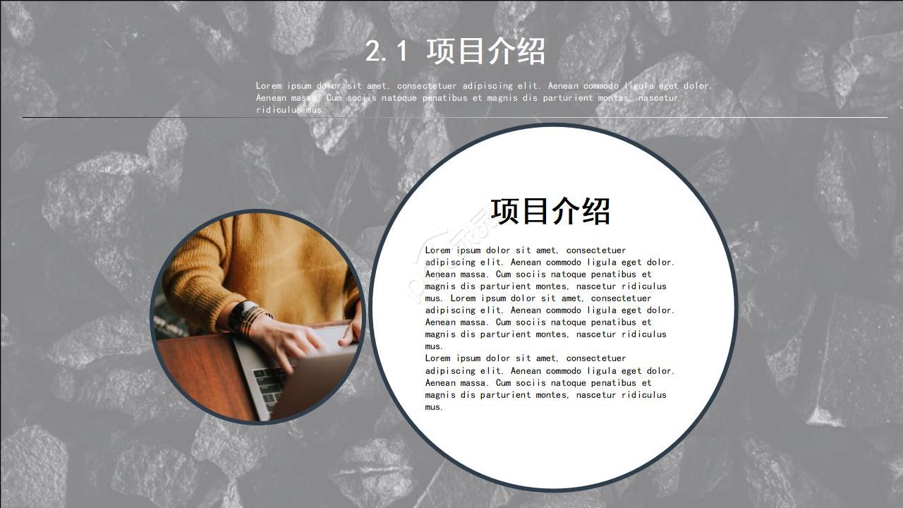 名人主题专用PPT模版