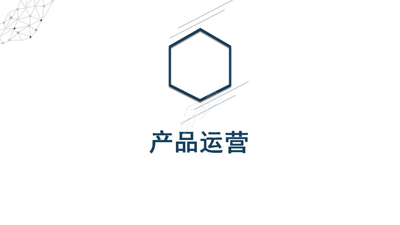 项目经营策划方案ppt模板