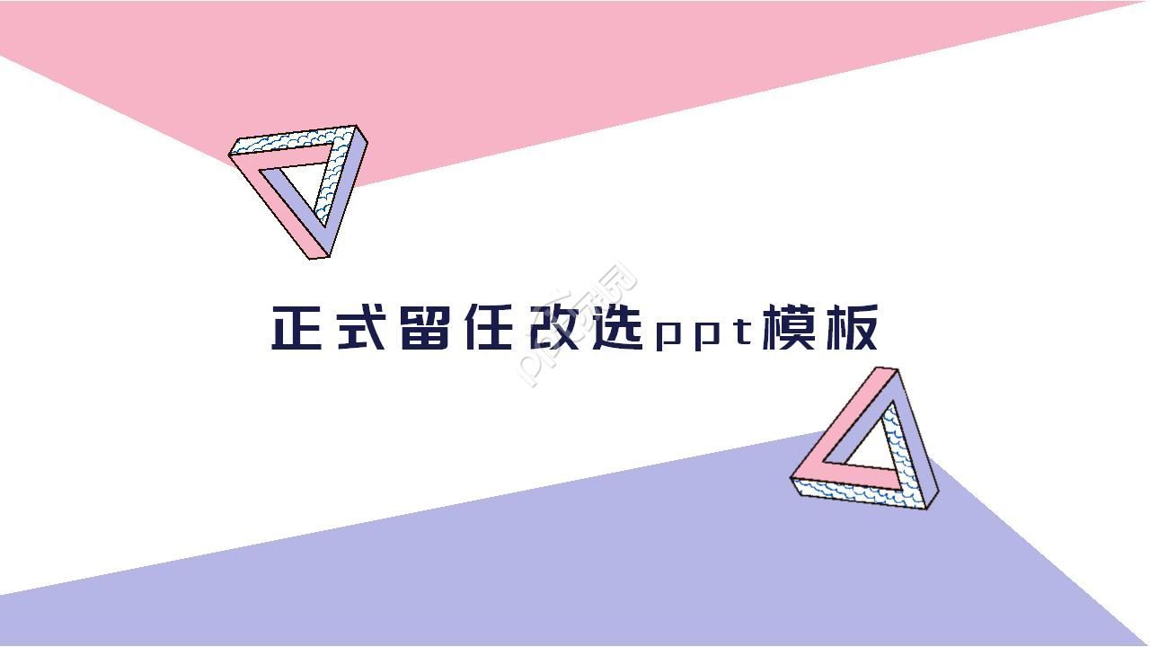 正式留任改选ppt模板