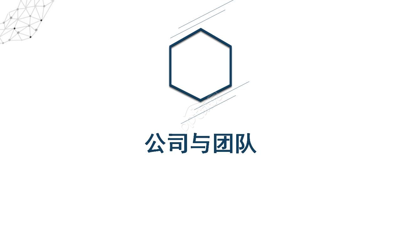 项目经营策划方案ppt模板