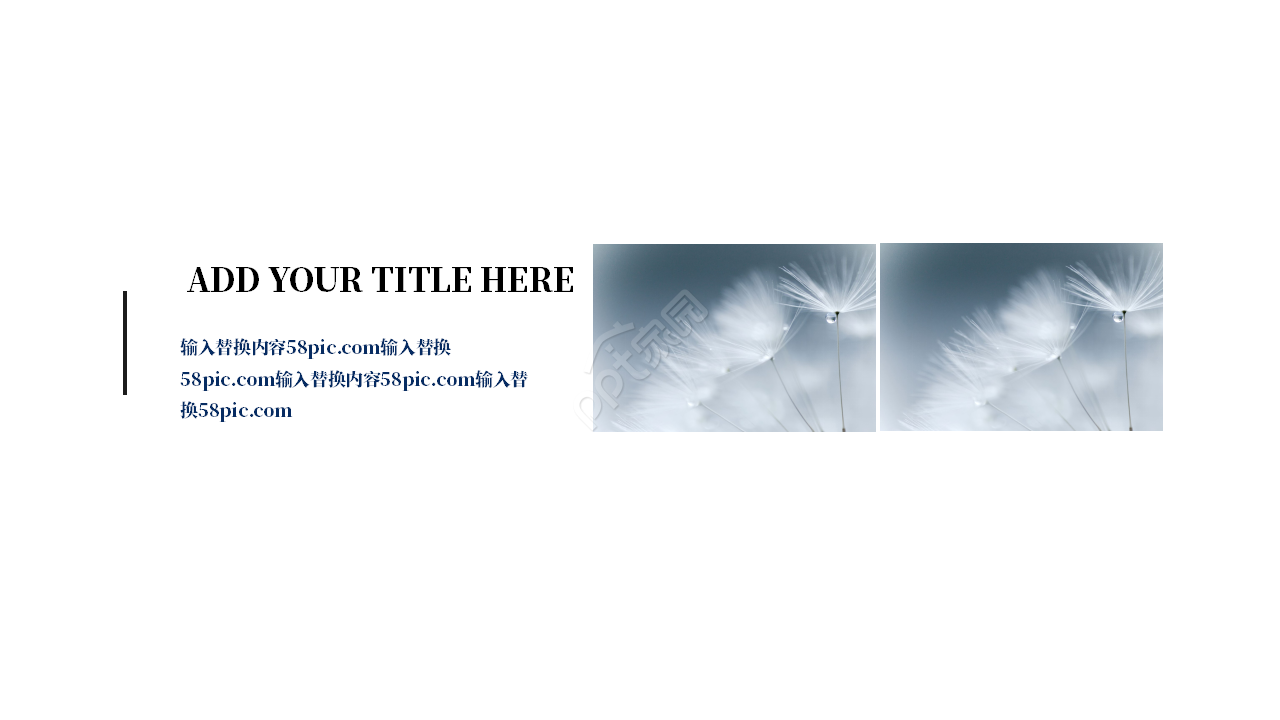 商务蒲公英pppt模板