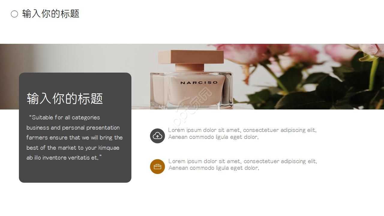 适合产品介绍ppt模板