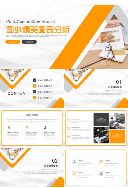 国外精美图表分析PPT模板