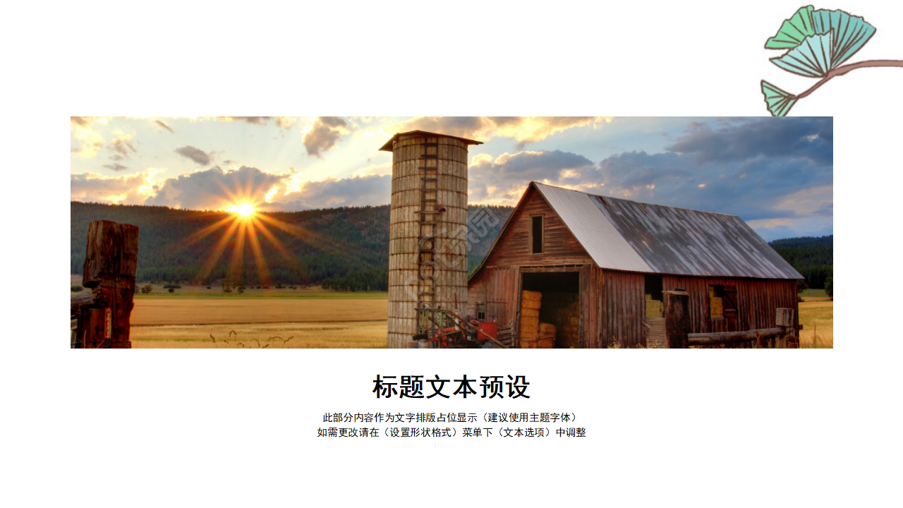 国外植物风景模板(生物适用)