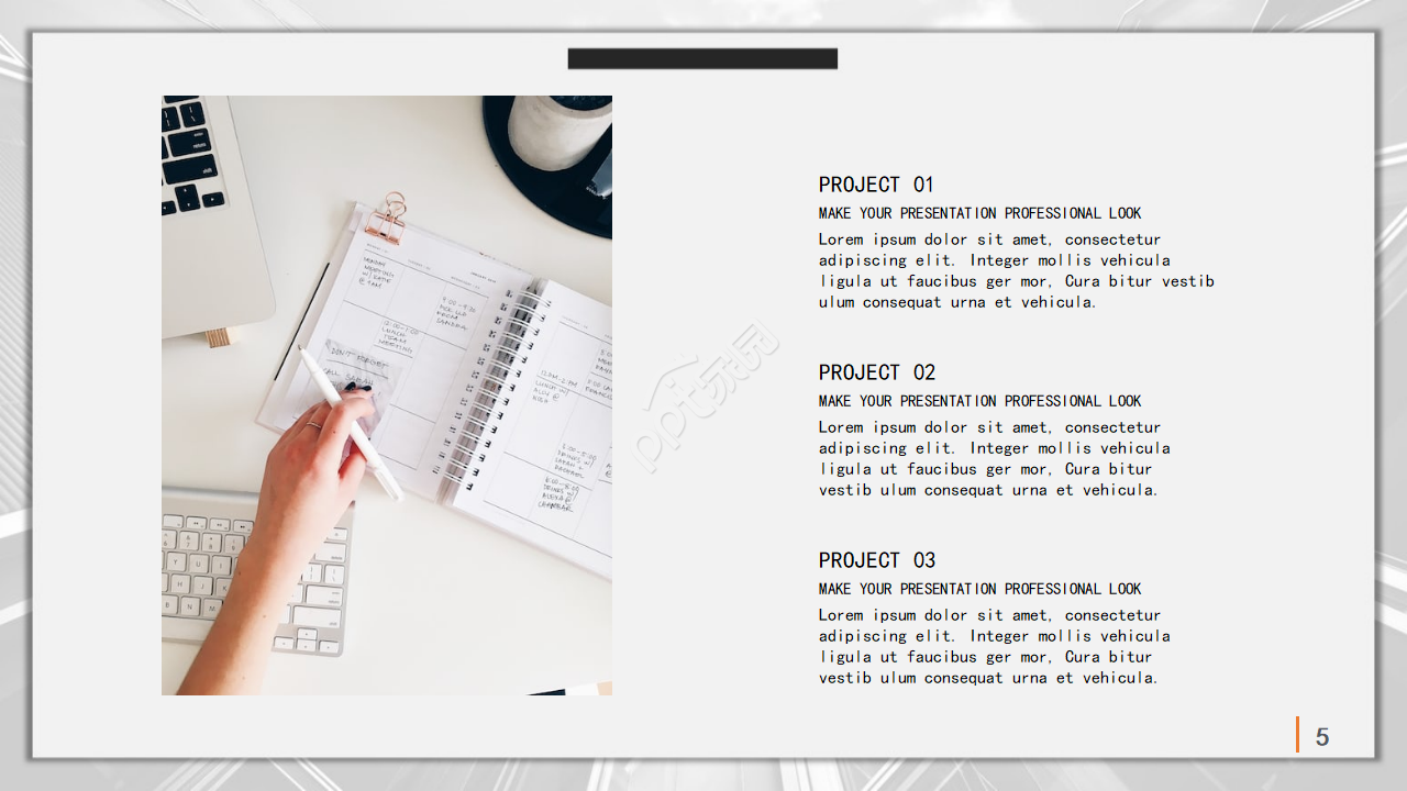 国外portholefishppt模板