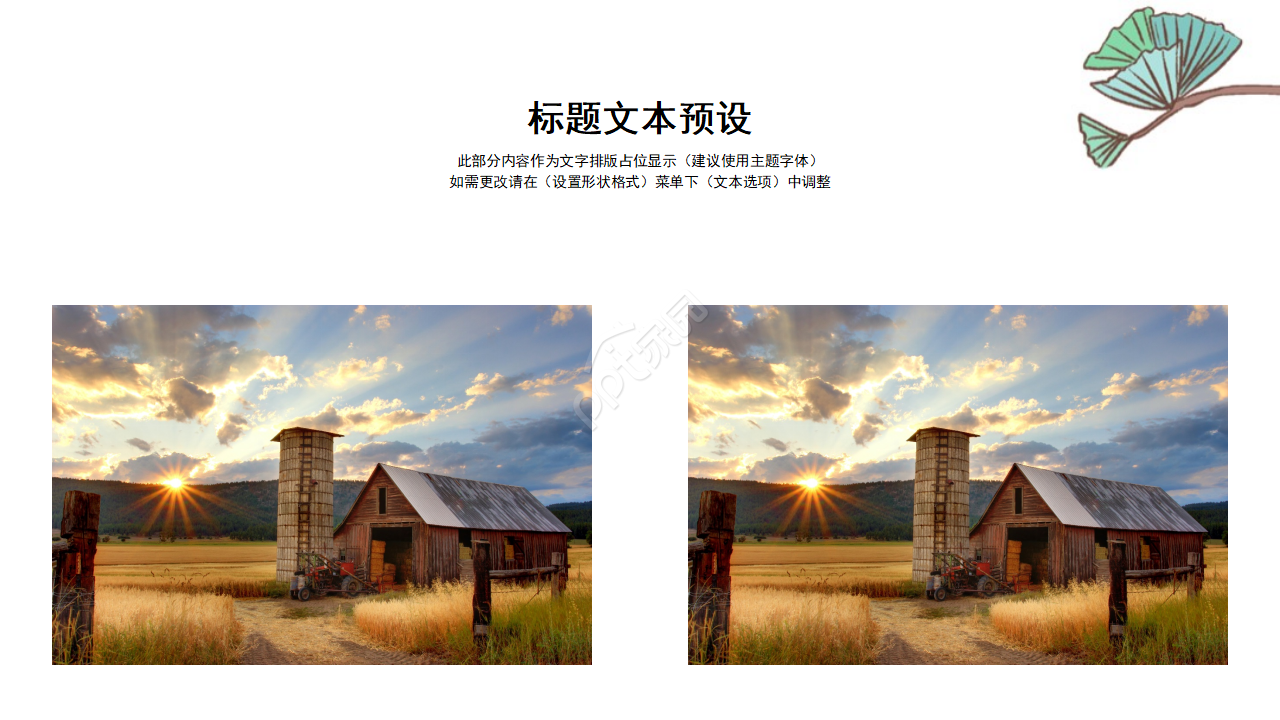 国外植物风景模板(生物适用)