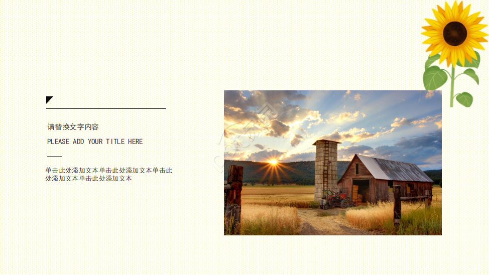 PPT模板_向日葵