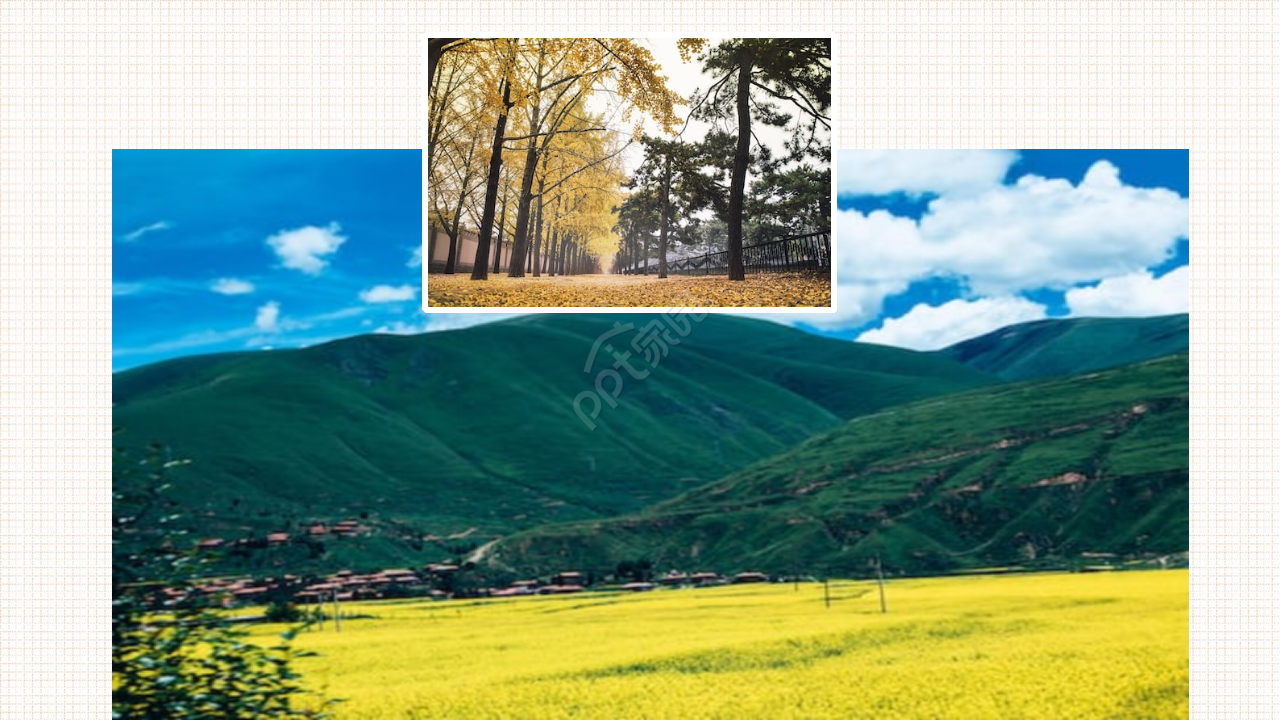 精美相框PPT模板