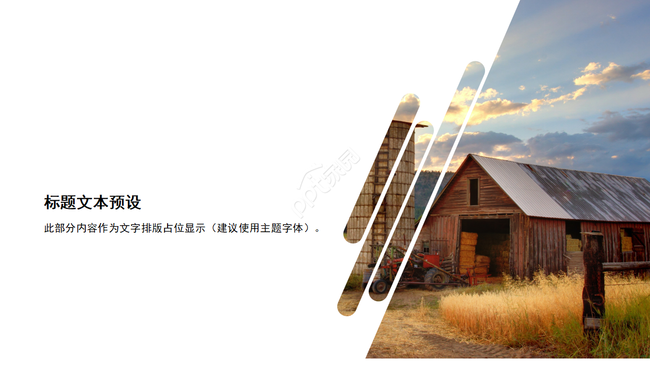 国外植物风景模板(生物适用)