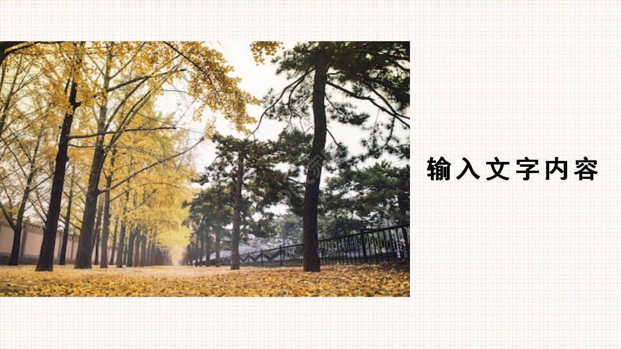 精美相框PPT模板