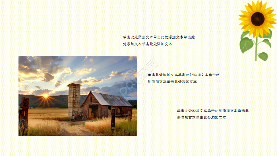 PPT模板_向日葵