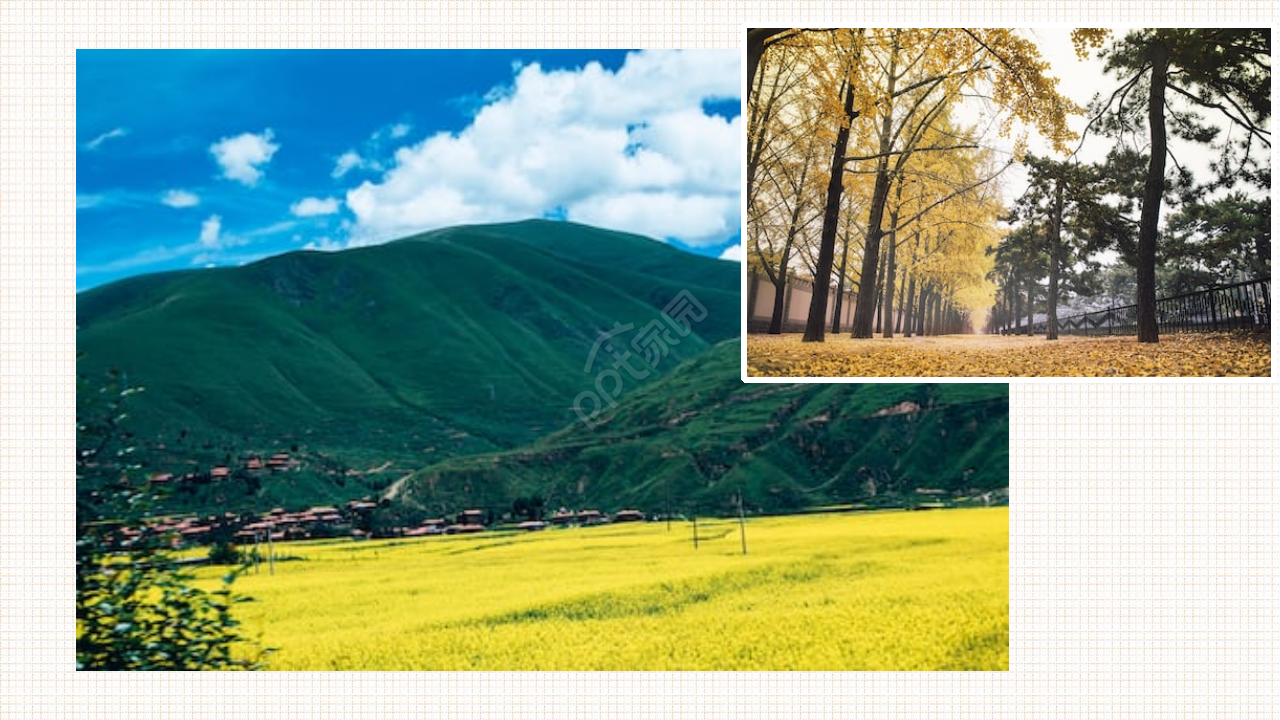 精美相框PPT模板