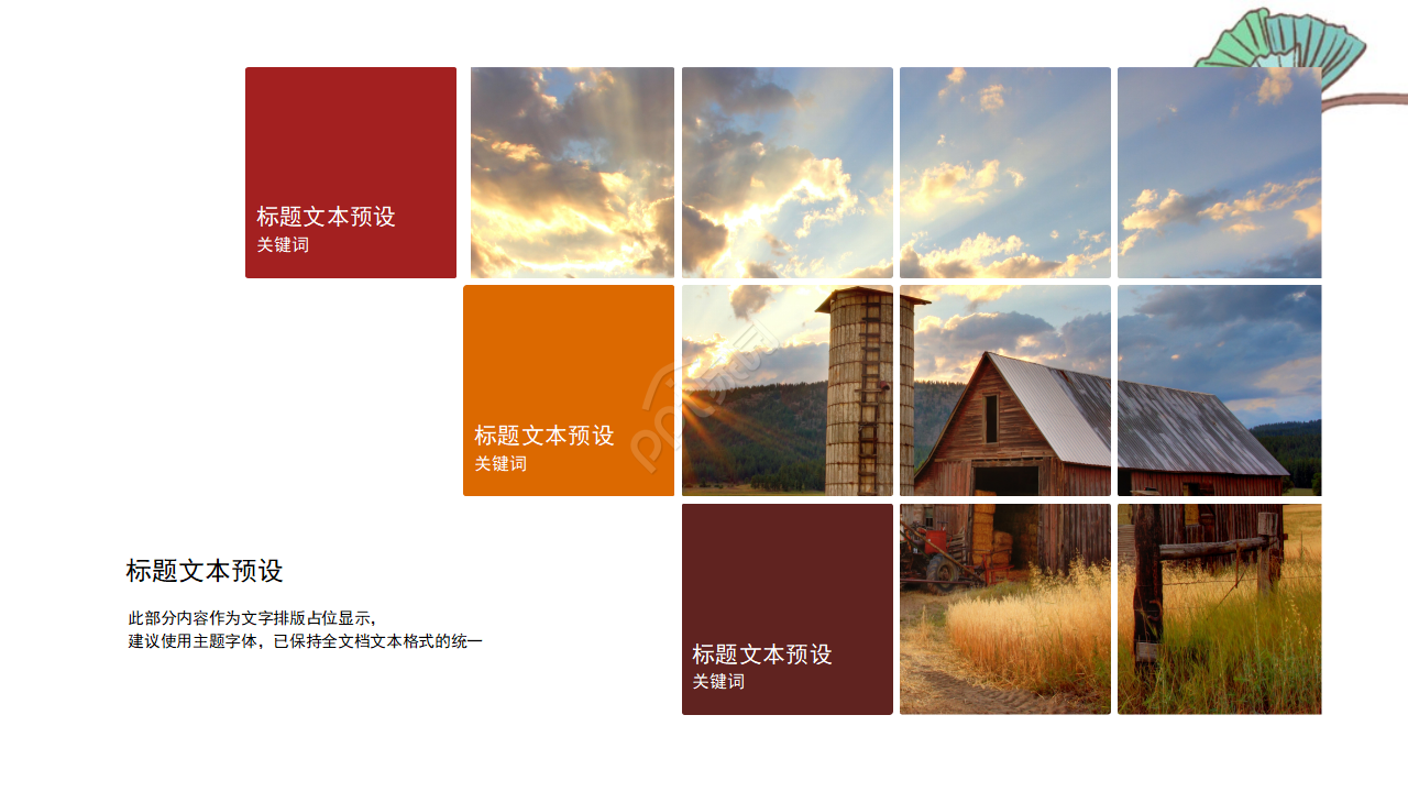 国外植物风景模板(生物适用)