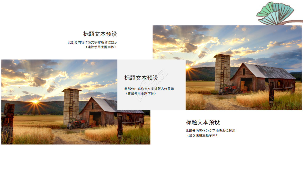 国外植物风景模板(生物适用)