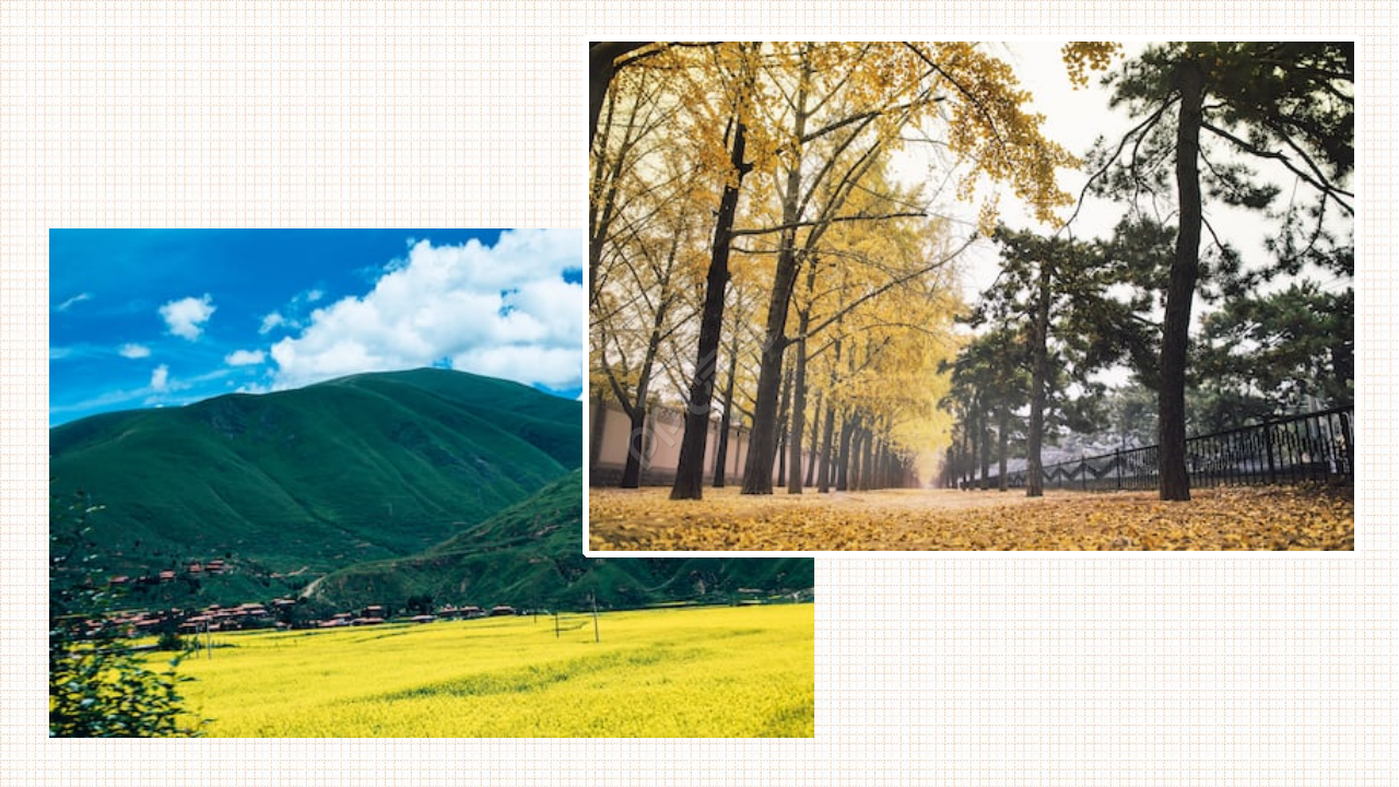 精美相框PPT模板