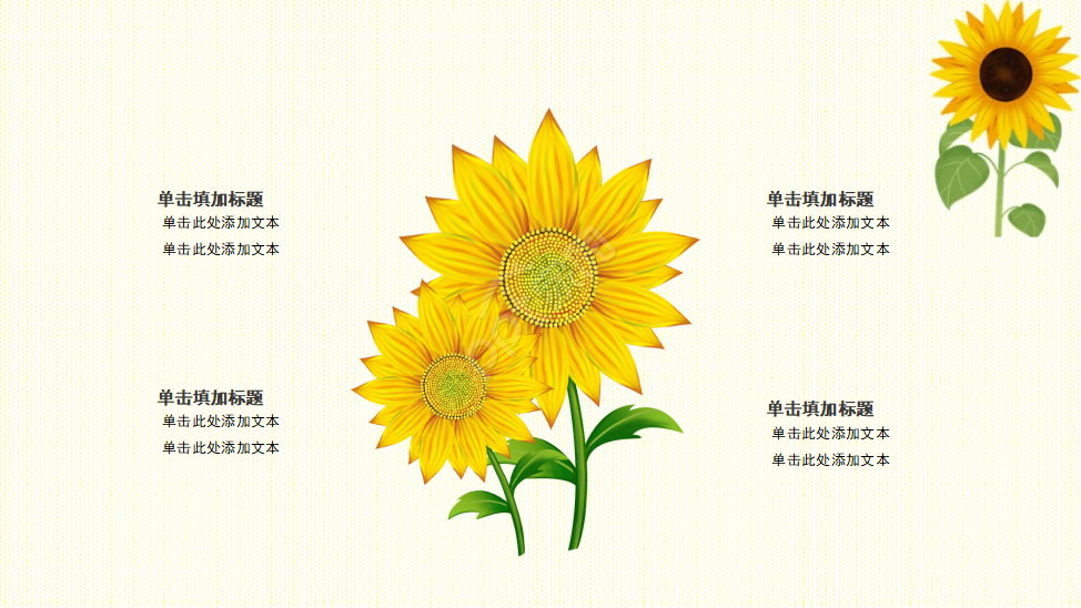 PPT模板_向日葵