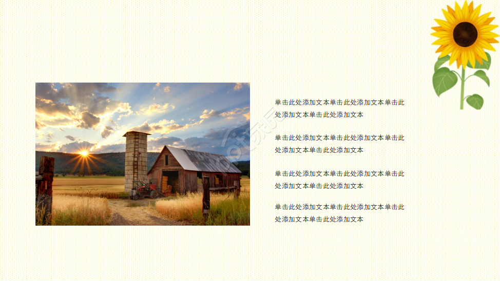 PPT模板_向日葵