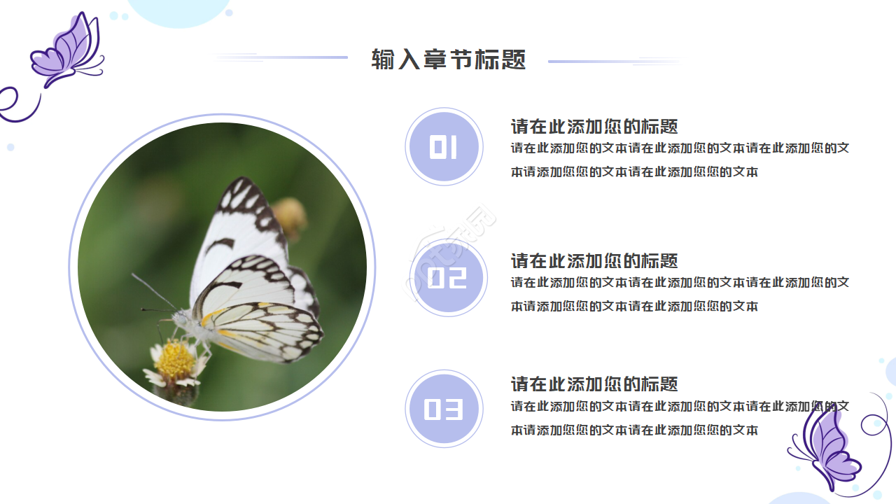 五颜六色蝴蝶ppt模板