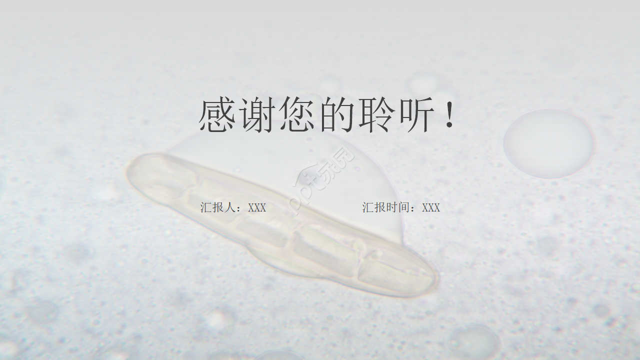 中学初中生物教学PPT课件