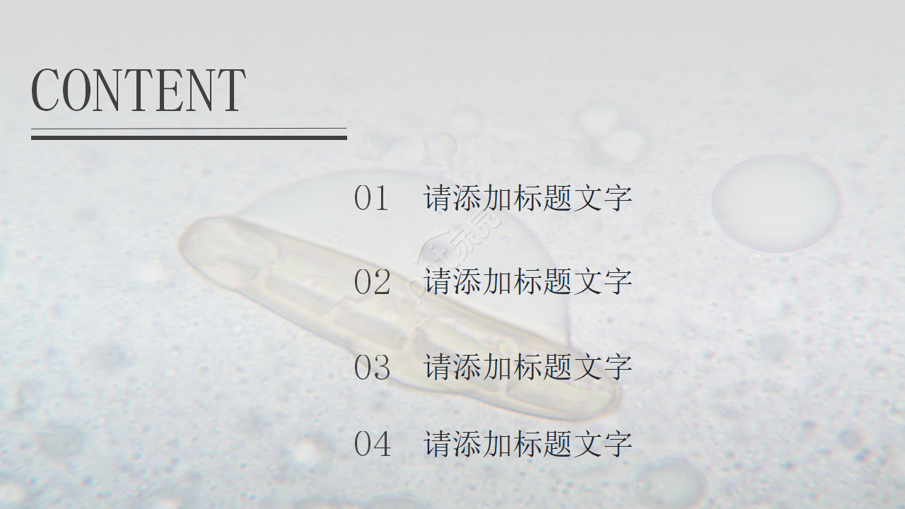 中学初中生物教学PPT课件