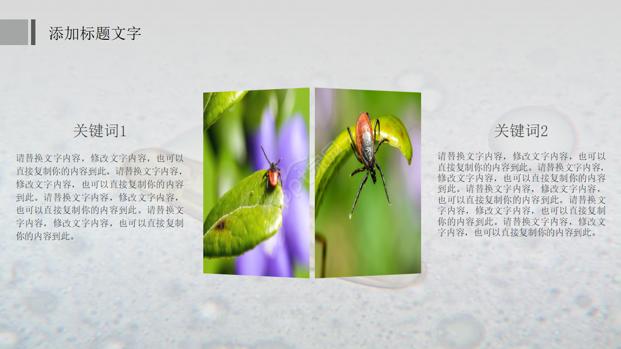 中学初中生物教学PPT课件