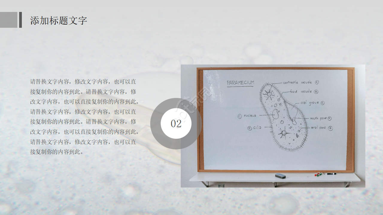 中学初中生物教学PPT课件