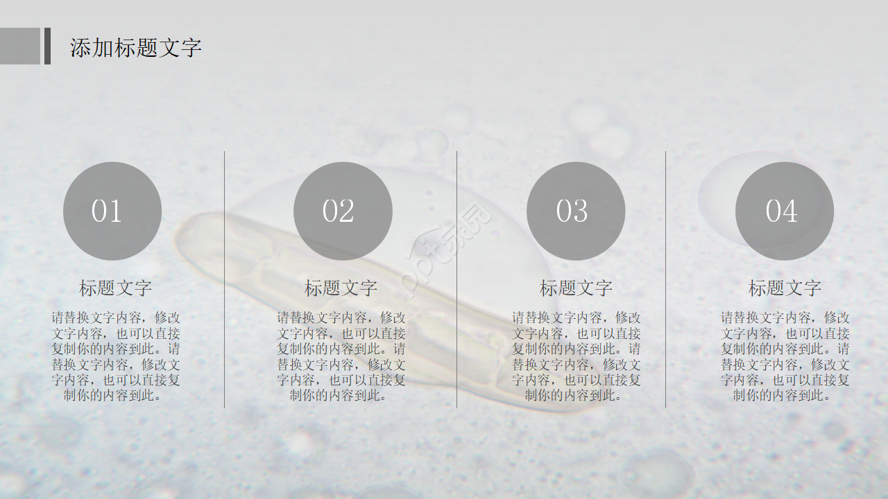 中学初中生物教学PPT课件