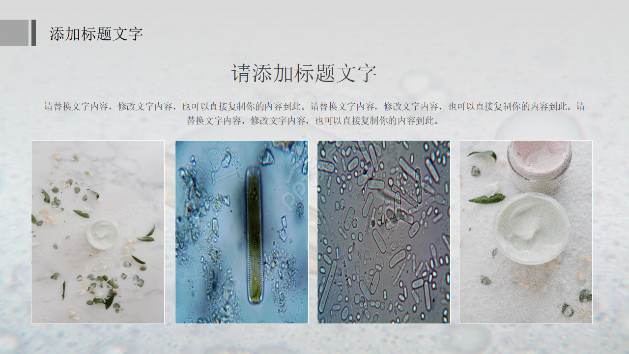 中学初中生物教学PPT课件