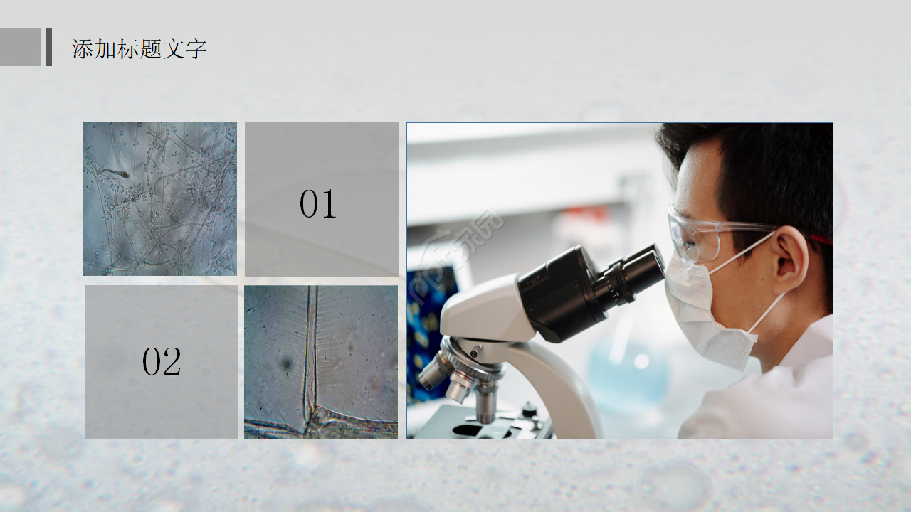 中学初中生物教学PPT课件