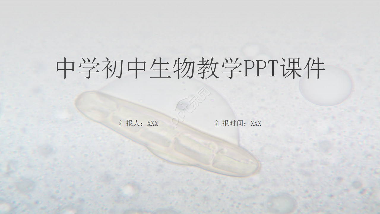 中学初中生物教学PPT课件