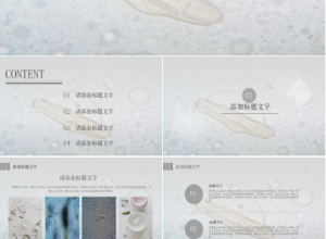 中学初中生物教学PPT课件下载推荐