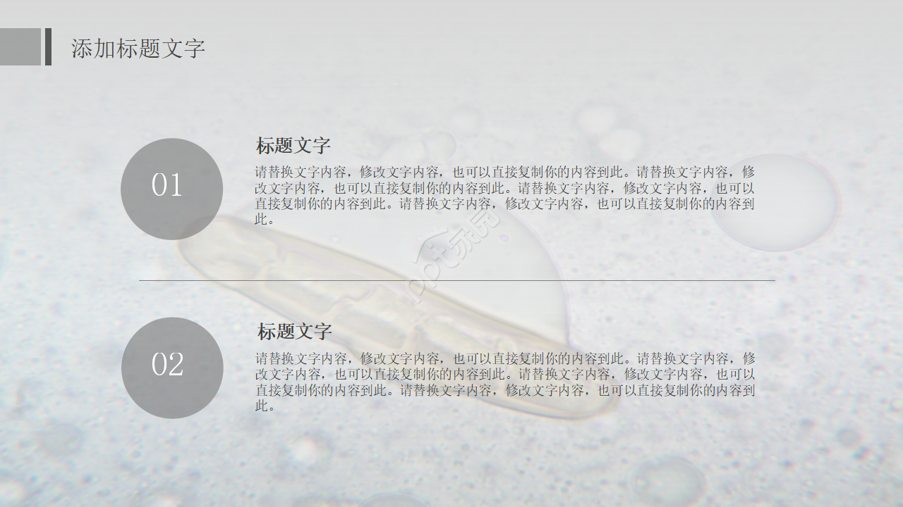 中学初中生物教学PPT课件