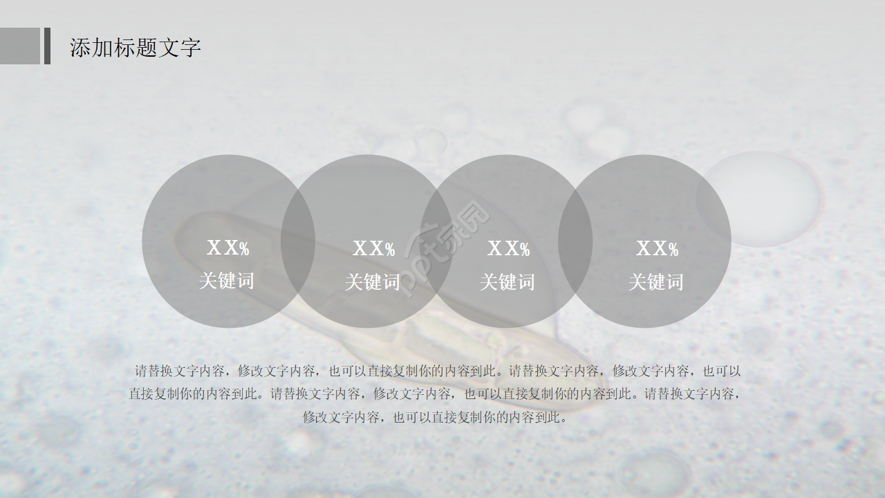 中学初中生物教学PPT课件