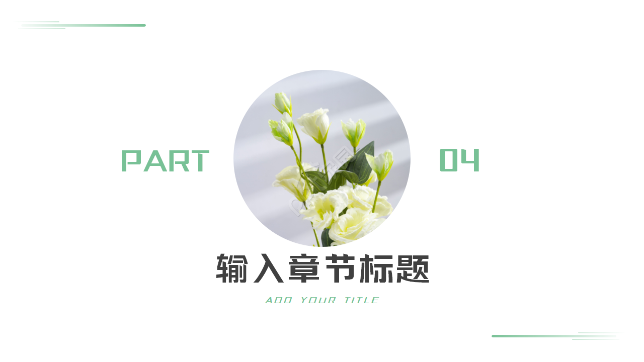 精心计划的PPT模板