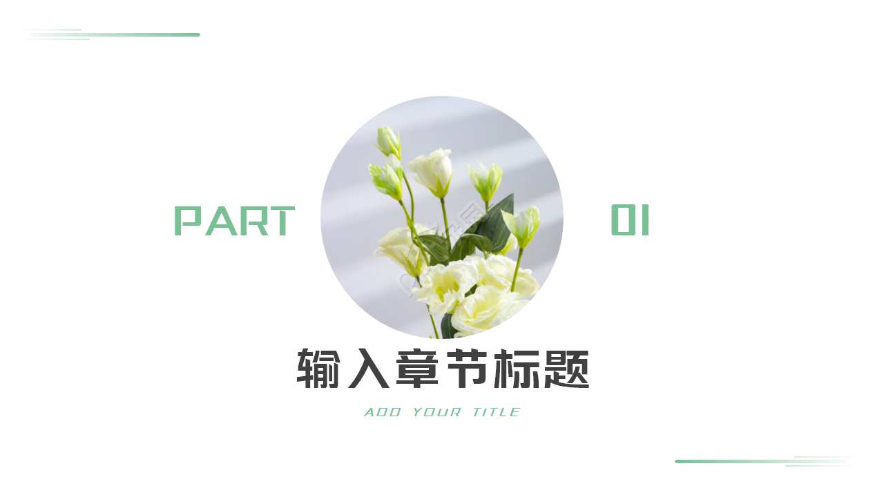 精心计划的PPT模板