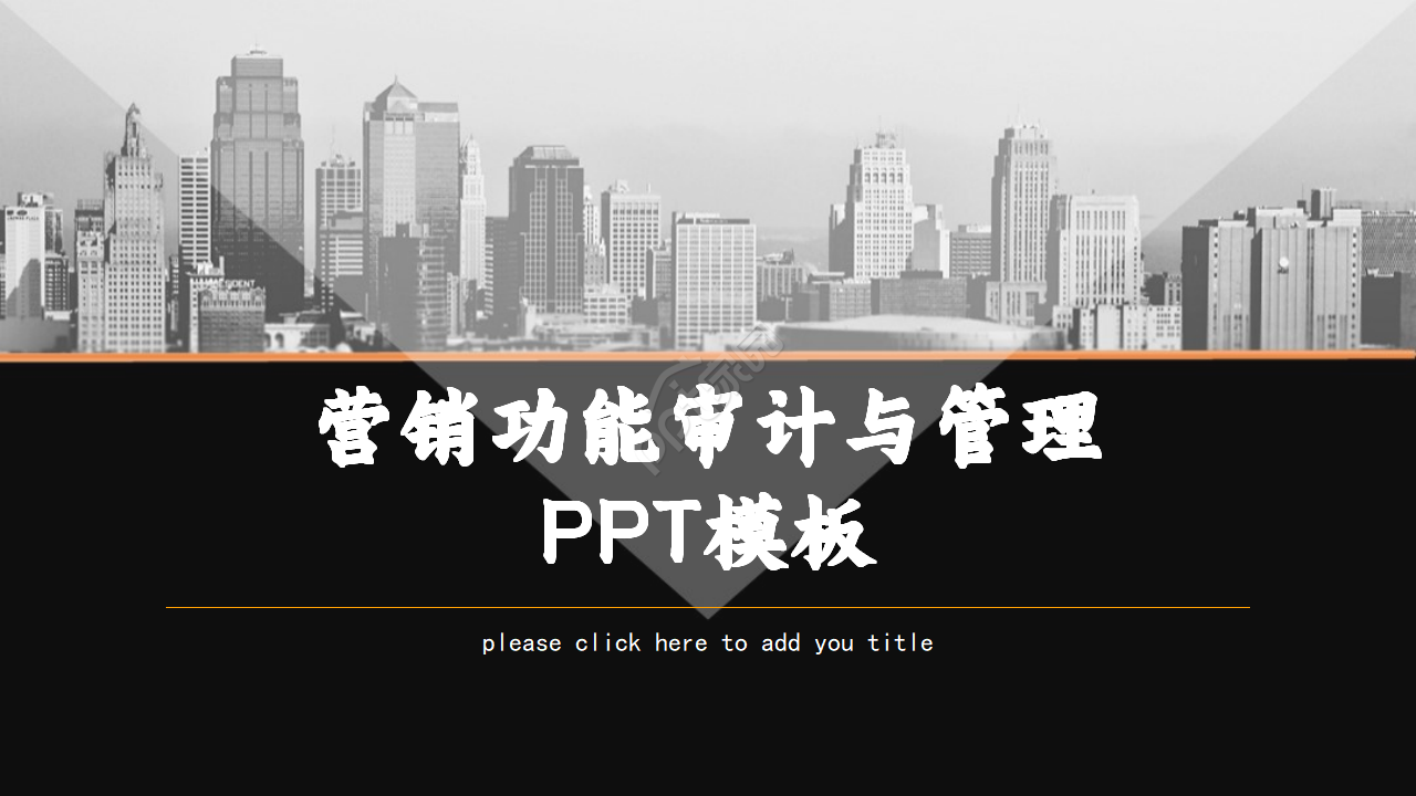 营销功能审计与管理PPT模板